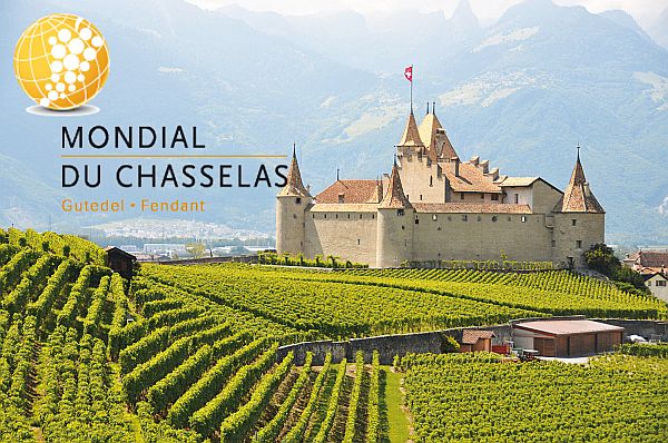 4 Goldmedaillen für Château Maison Blanche am Mondial du Chasselas!