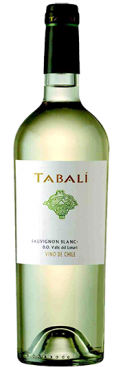 Tabali Sauvignon blanc Chile Limari Valley DO